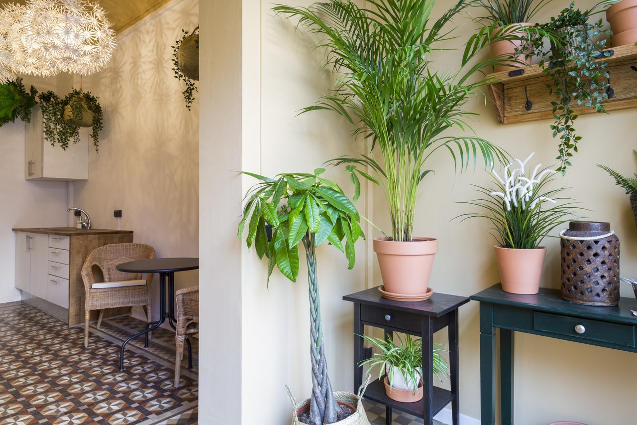 ホテル Casa Maca Barcelona (Adults Only) エクステリア 写真